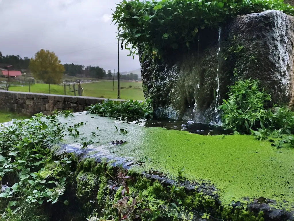 João Loureiro_Quinta de Santo Estêvão_Forninhos_review