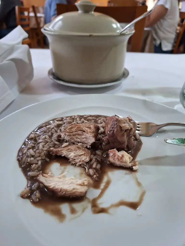 Kellie Tao_Abrigo Da Floresta_Girabolhos_recensione