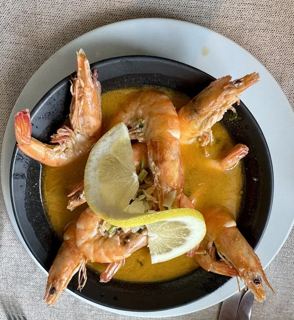 Kuba Wuls_Metamorphosis_Fontanelas_recensione