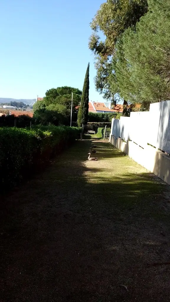 O Canas ristorante a Frielas