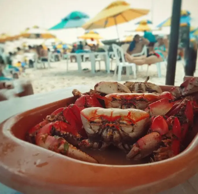 Menu_Restaurante Melião_Leomil_immagine_6