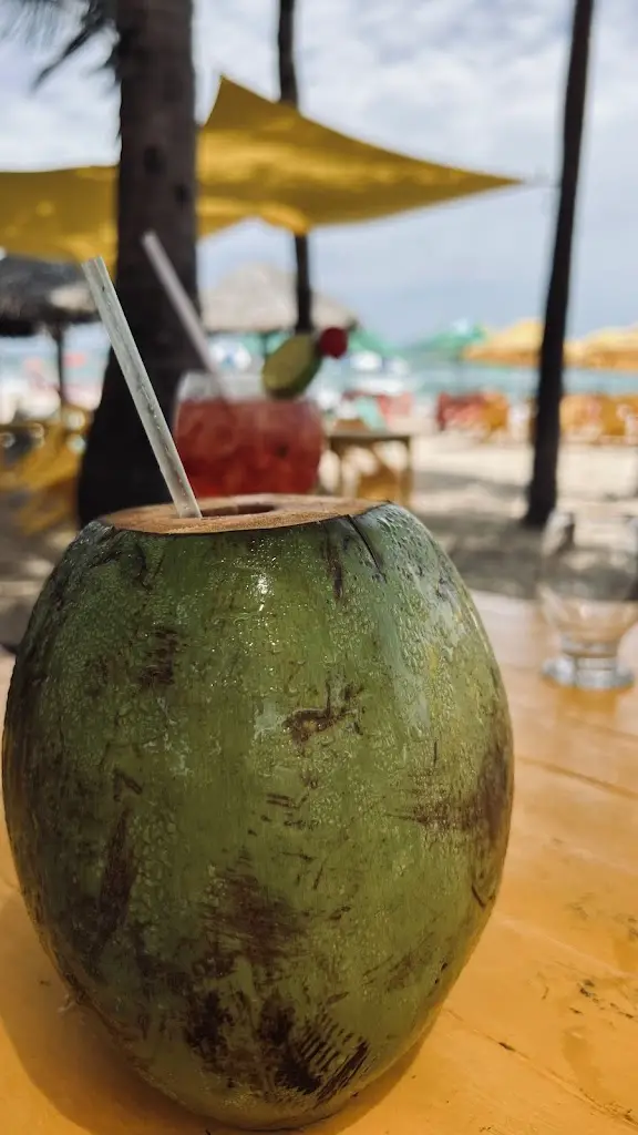 Menu_Restaurante Melião_Leomil_immagine_9