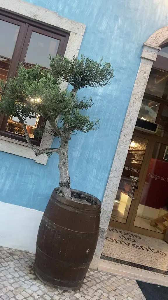 Adega do Convento_Mafra_slider_image_2