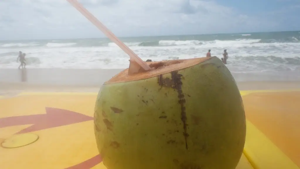 Menu_Plano Restaurante_Graça_immagine_2