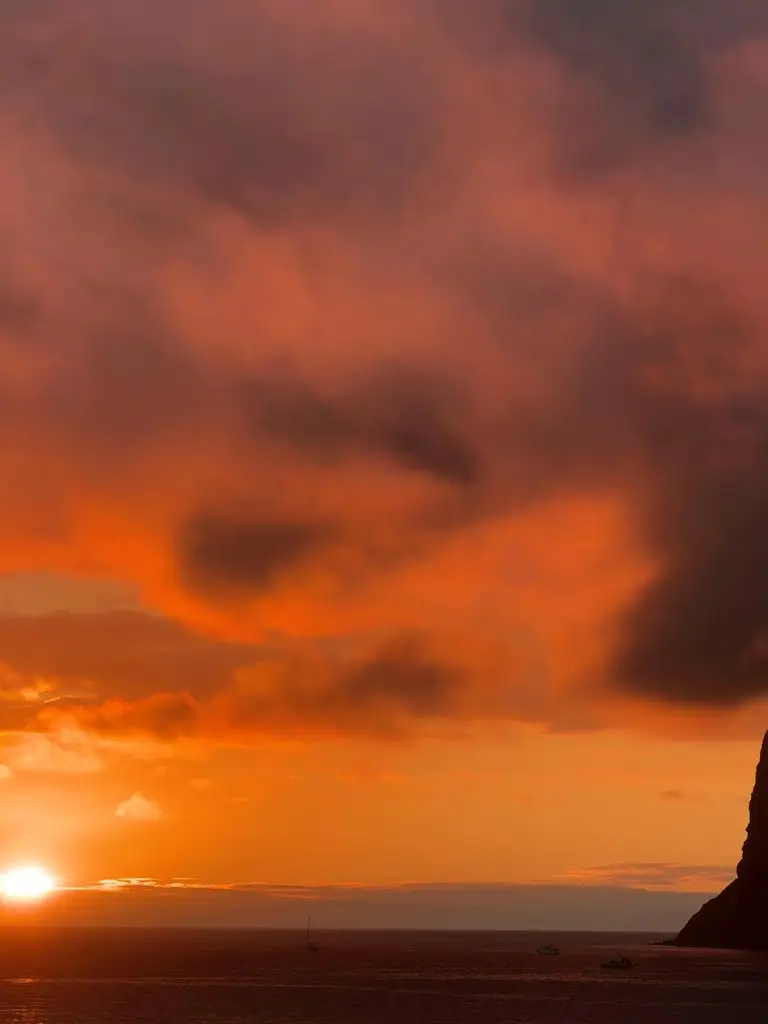 Dani Machado_Restaurante Coral_Mata de Lobos_recensione