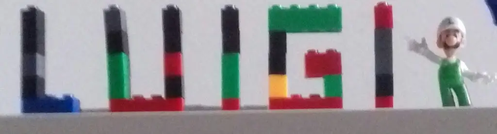 Rafael Silva_O Motorista_Forte da Casa_reseña