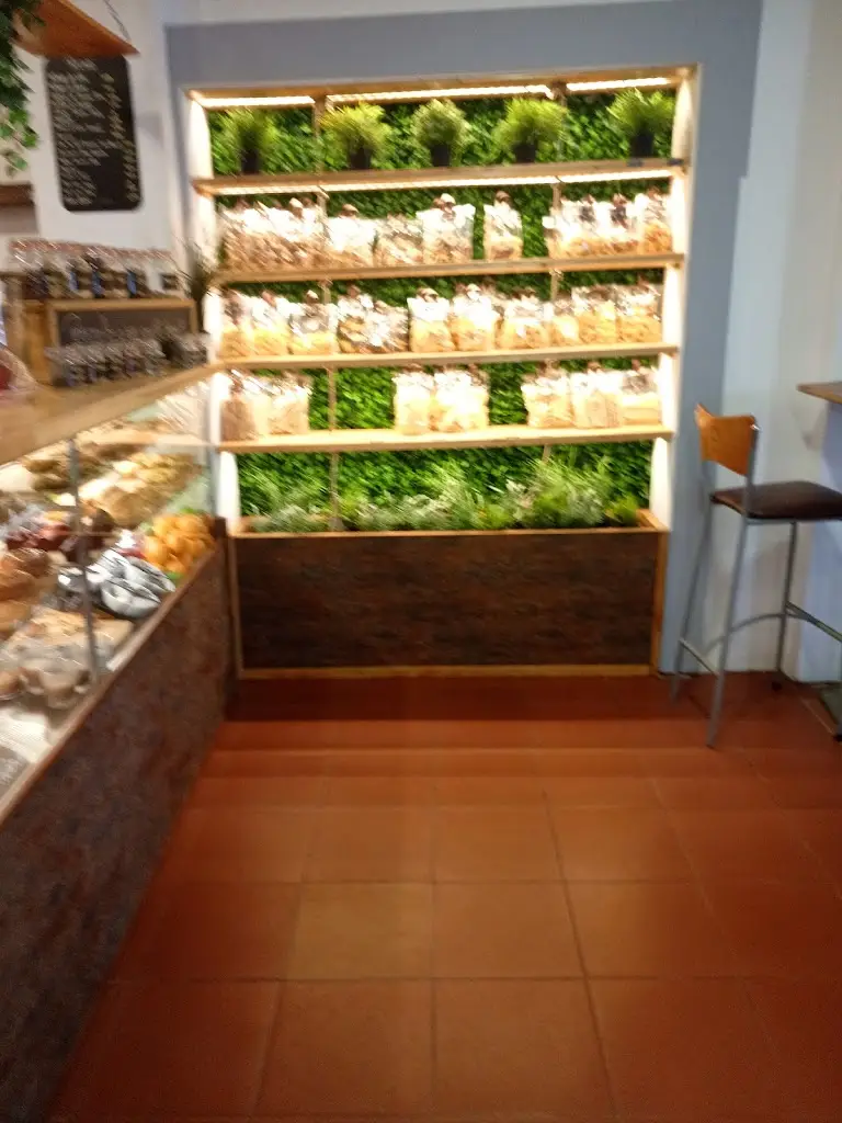 Joao Pires - PLEXUS_Liv Beato_Marvila_recensione