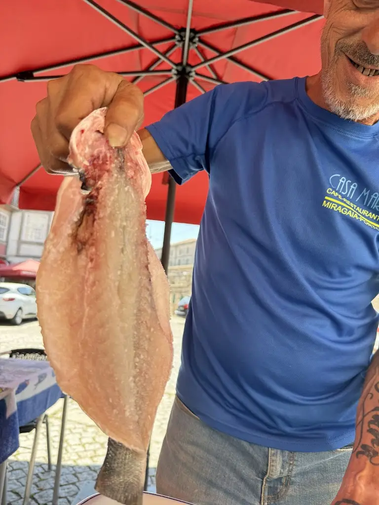 Y Le_Casa Mara_Miragaia_recensione