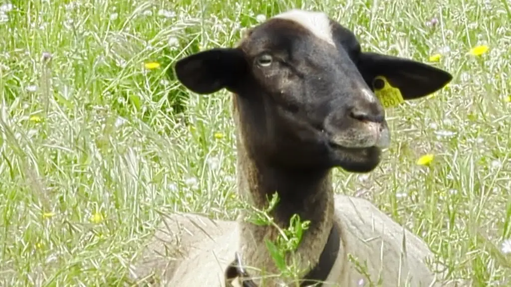 Carlos Villegas_Rito - Restaurante_Meios_reseña