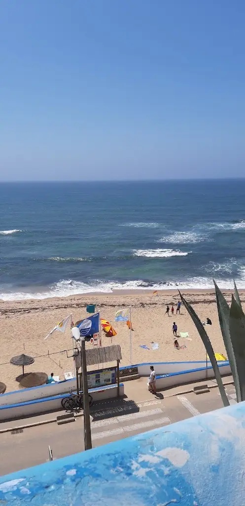 António Oliveira_Cheiros da Serra_Milharado_reseña