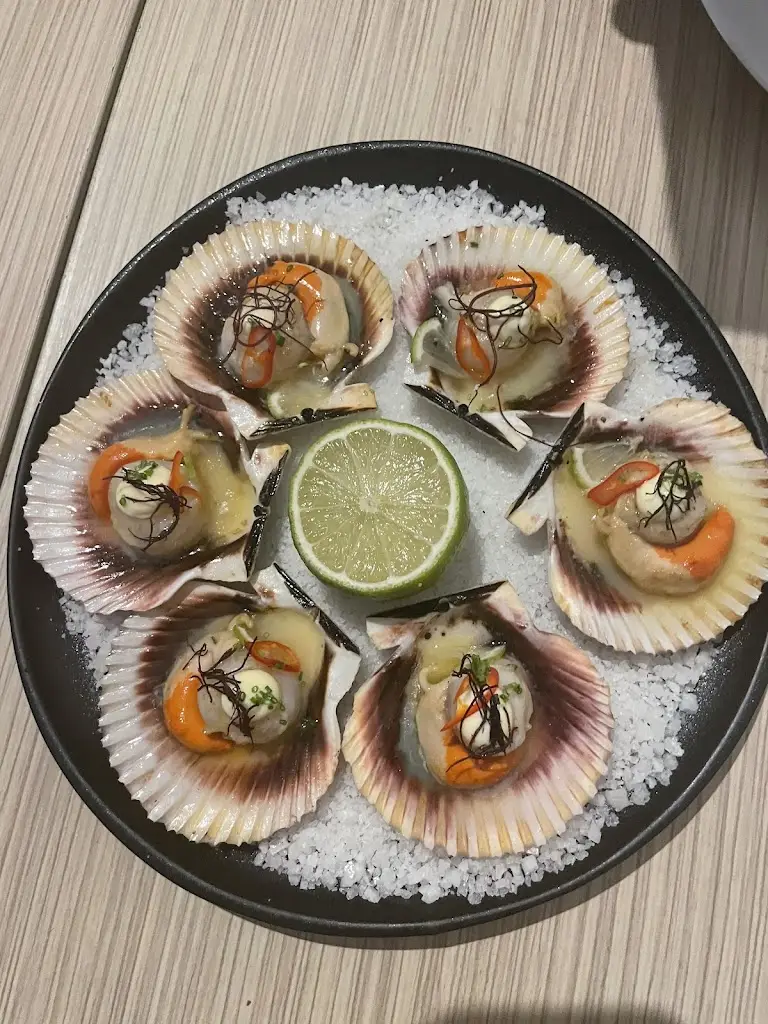 E B_Porta 13_Moita_recensione