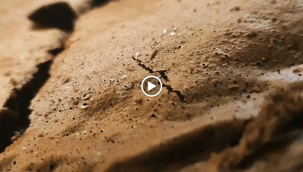 Bifanas do Mestre André_Moita_slider_image_2