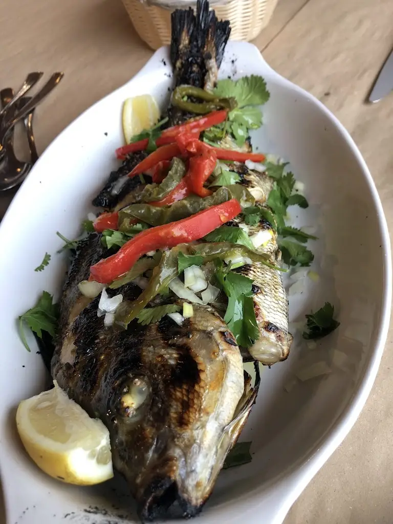 O Palma_Moledo_slider_image_3