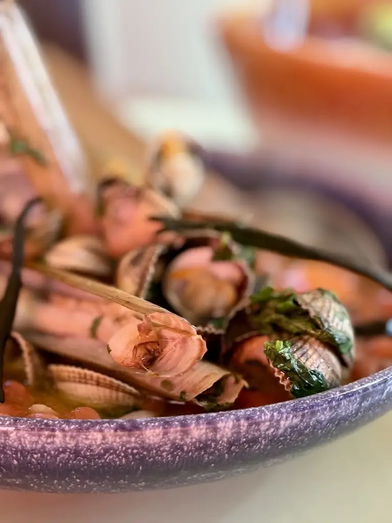 Erik Nordman_O Coberto_Moledo_reseña