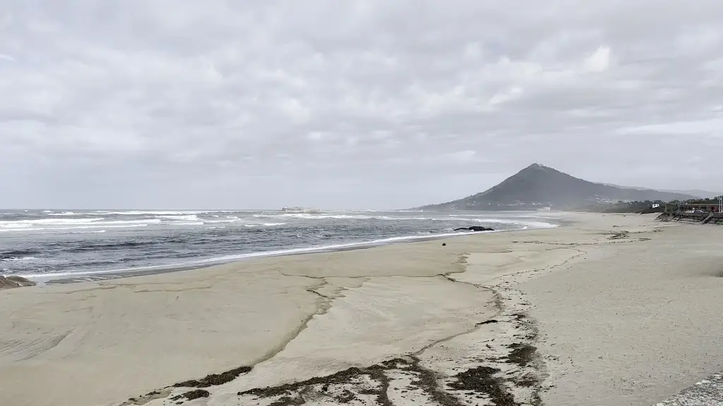 Christine Cole_Sargaceiro Bar_Moledo_review