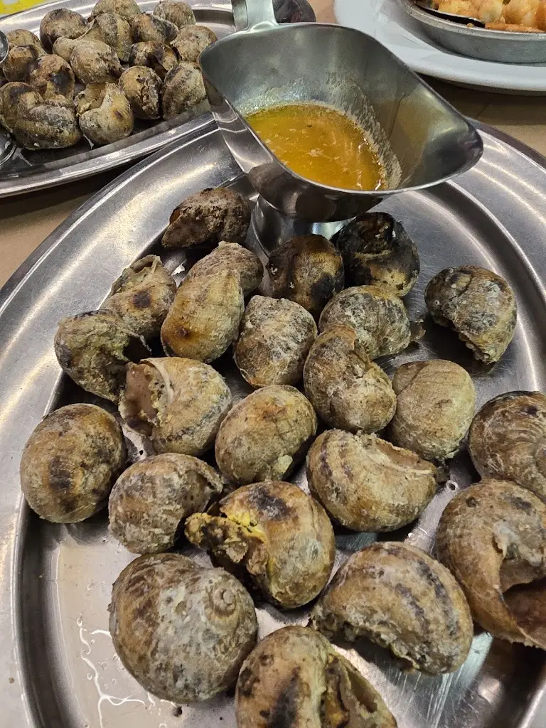 Анна Стадник_Florbela_Olival do Basto_reseña