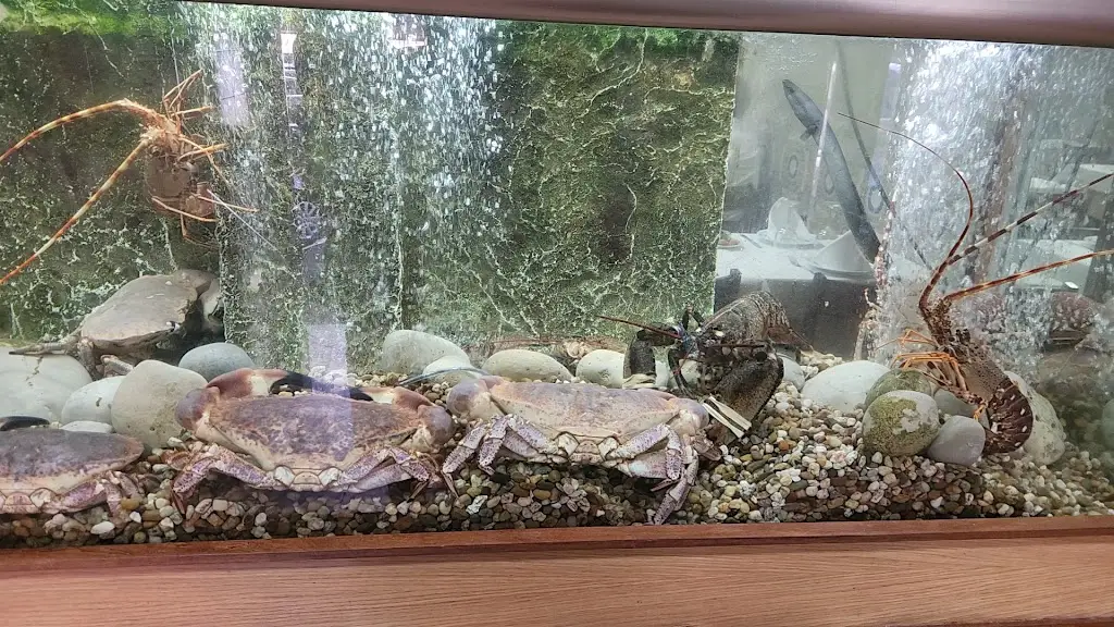 R4F4_Floresta de Moscavide_Moscavide_review