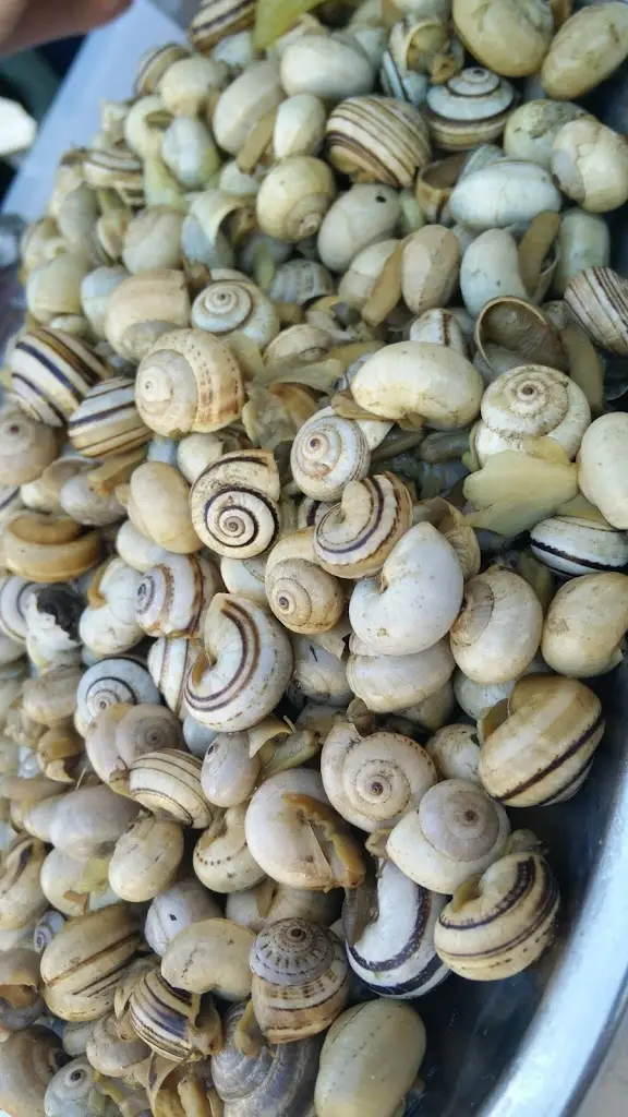 Menu_Mimoso_Moscavide_imagen_6