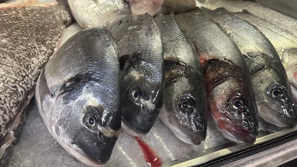 Andre v Herk_O Faustino_Oeiras_reseña