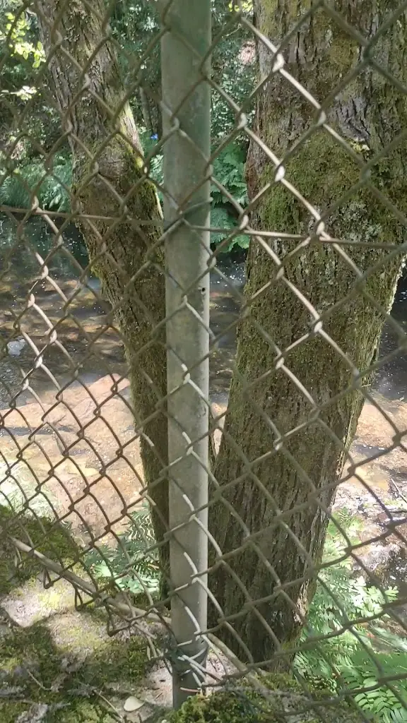 Manuela Simoes_Quinta D'Além da Ponte_Arouca_recensione