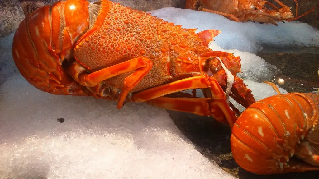 Menu_Casa galega_Paço de Arcos_immagine_6