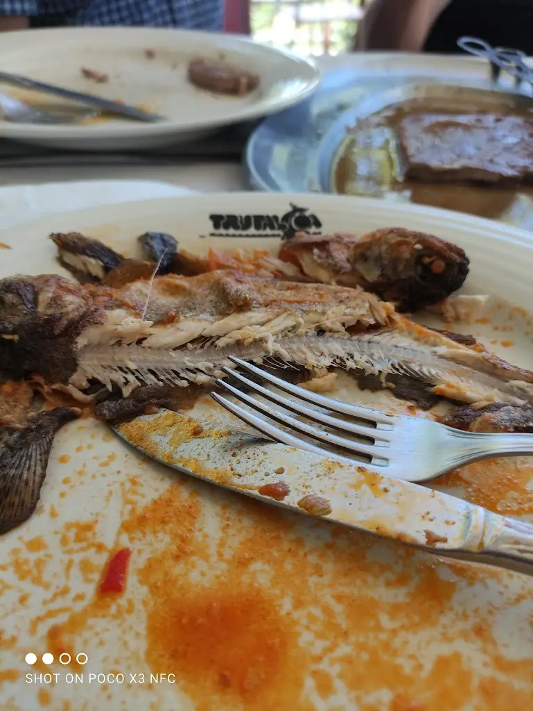 Menu_TrutalCôa - Truticultura do Alto Coa_Quadrazais_image_8