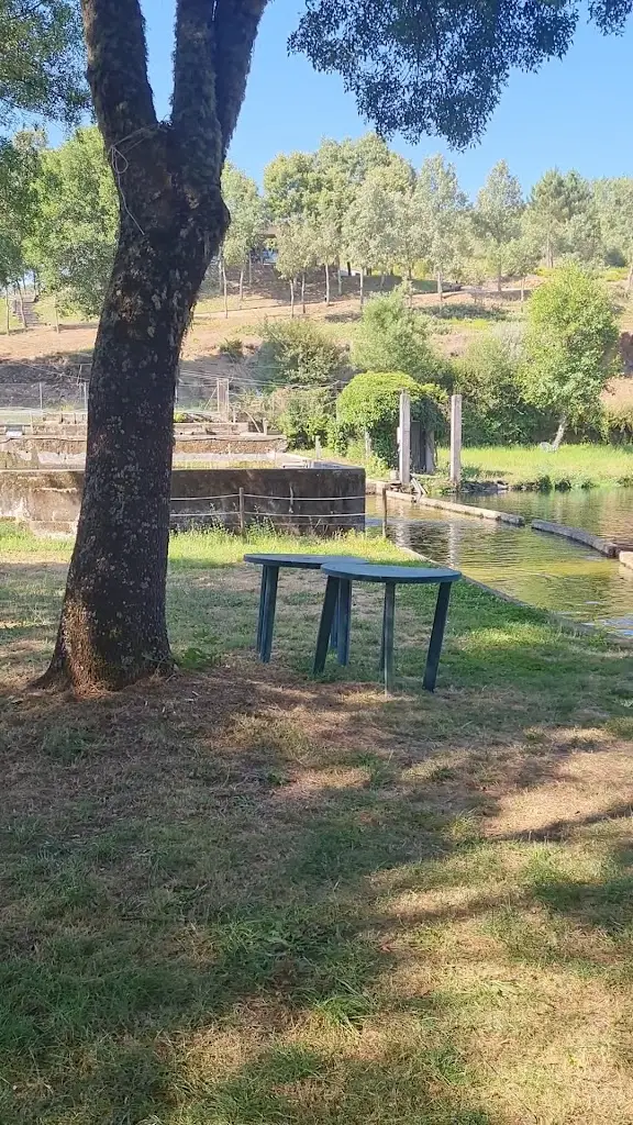 Pache_TrutalCôa - Truticultura do Alto Coa_Quadrazais_review