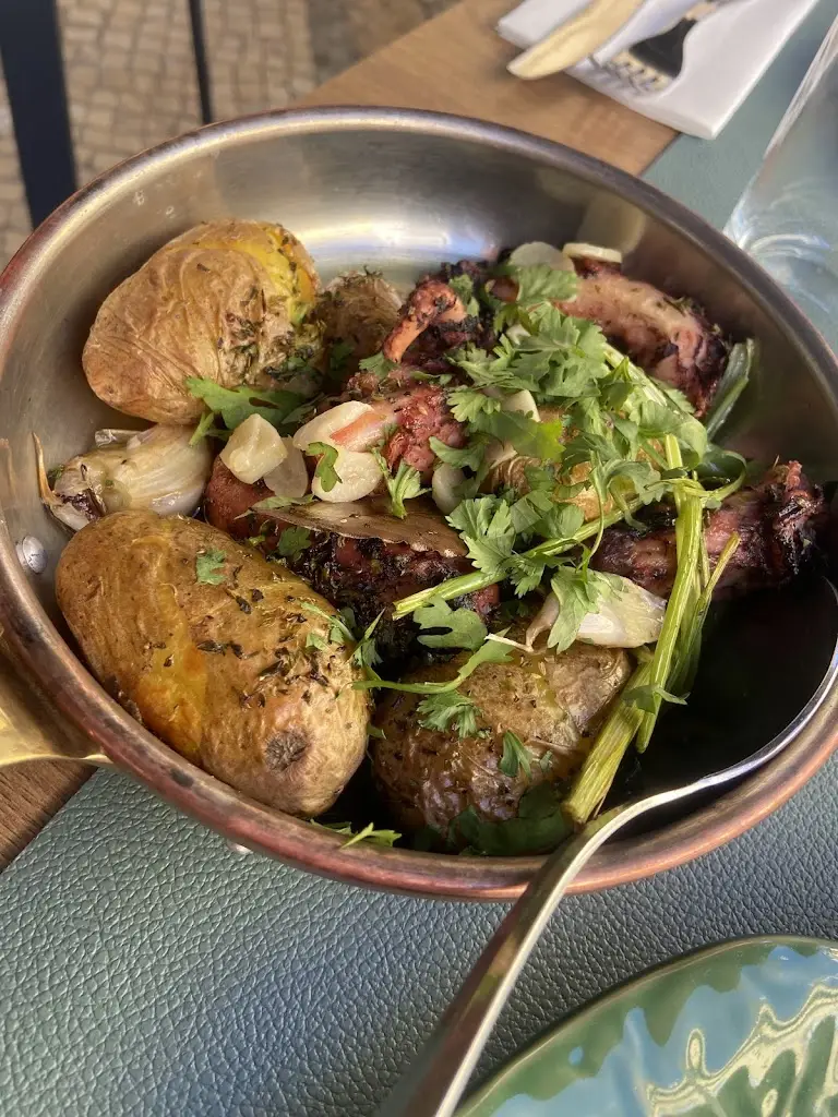 Giada Fattori_Mãe Violante_Prova_review