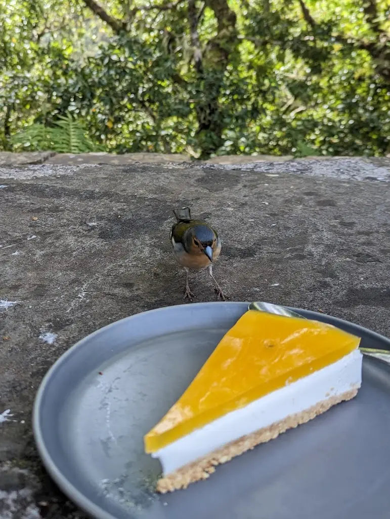 Menu_Rabaçal Nature Spot Cafe_Rabaçal_immagine_5