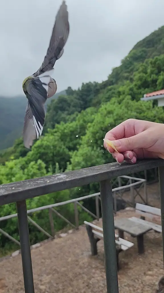 Brian Claus_Rabaçal Nature Spot Cafe_Rabaçal_recensione