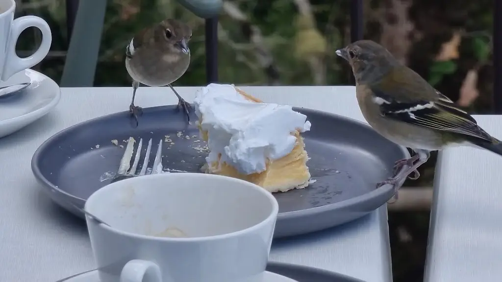 Rabaçal Nature Spot Cafe_Rabaçal_slider_image_2