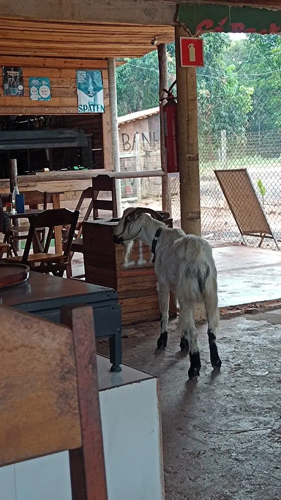 Ana Estorninho_Pantanal_Póvoa de Santo Adrião_recensione