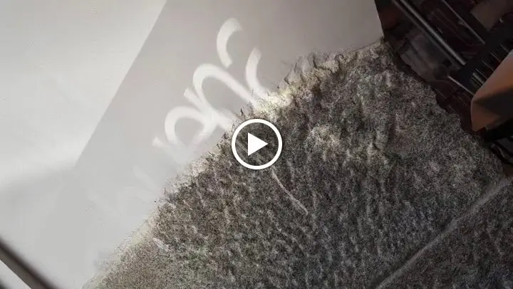 Bom peixe_Prior Velho_slider_image_2