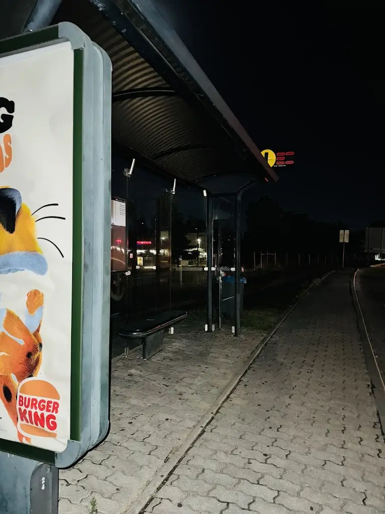 Mikmar Tamang_O Telheiro do Prior_Prior Velho_recensione