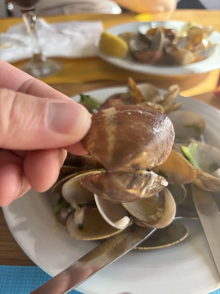 Denes Dobson_Marisqueira de Ribamar_Ribamar_recensione