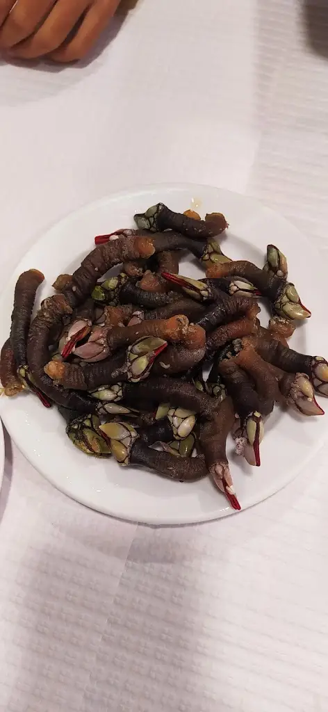 Menu_Restaurante O Pescador_Ribamar_imagen_8