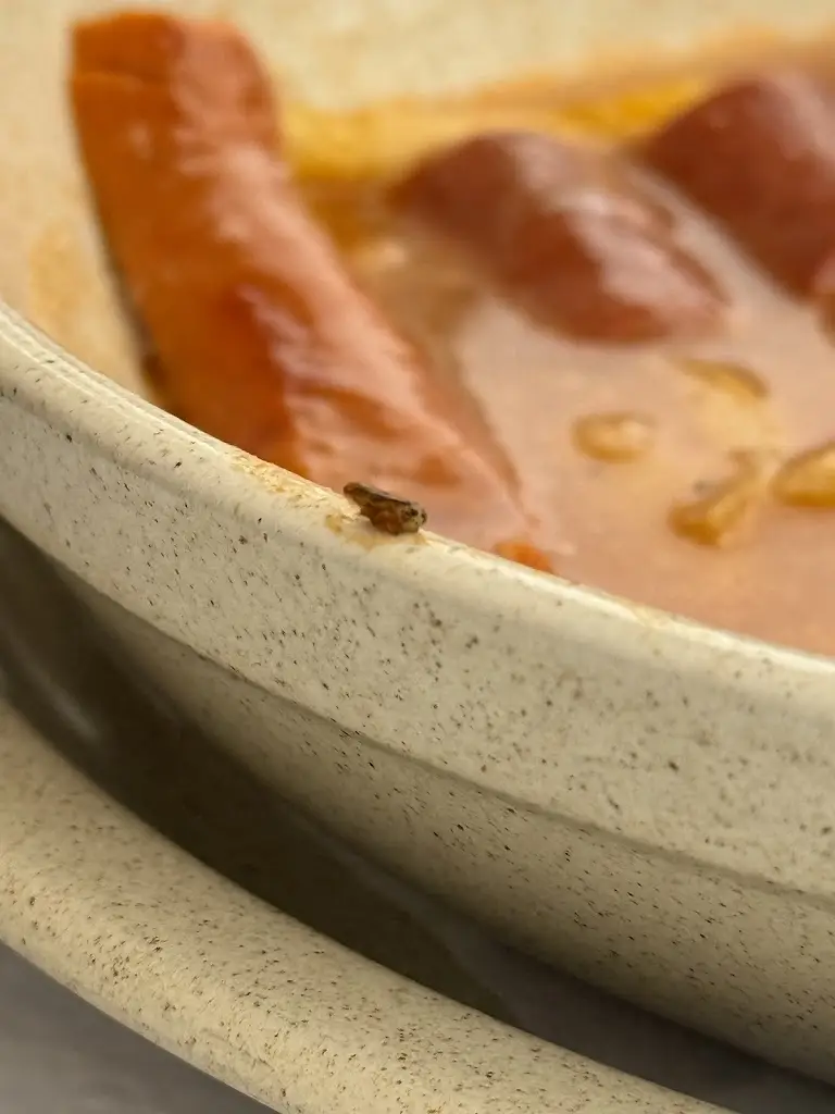 Rita Cardoso_Restaurante Beira-Mar_Esmoriz_recensione