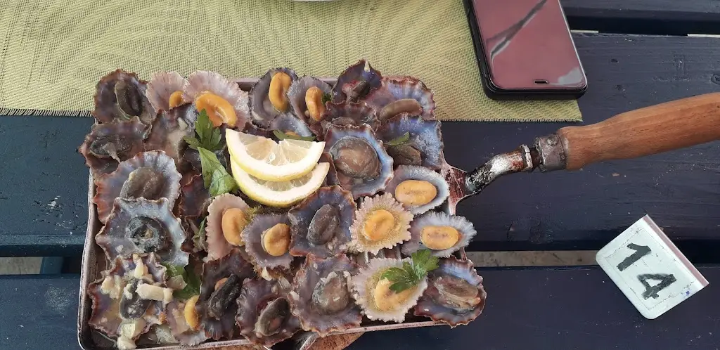 Menu_Bar dos Anjos_Santa Maria_immagine_6