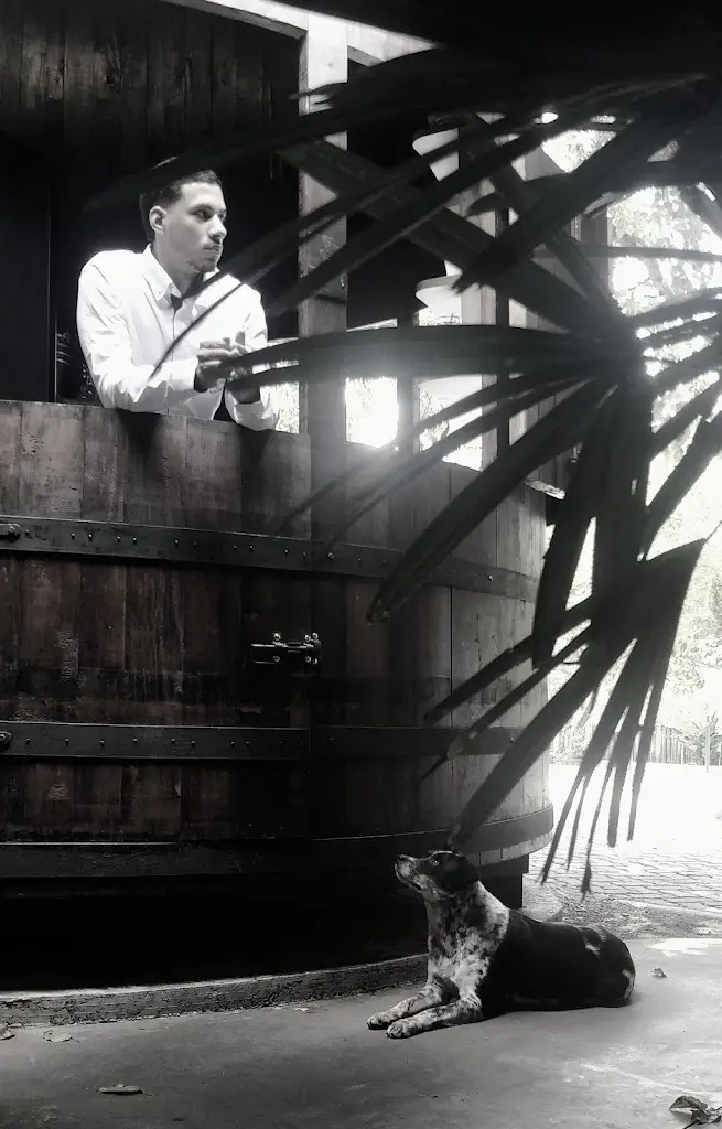 Sinan Canbolat_Linha de Sabores_Esmoriz_review