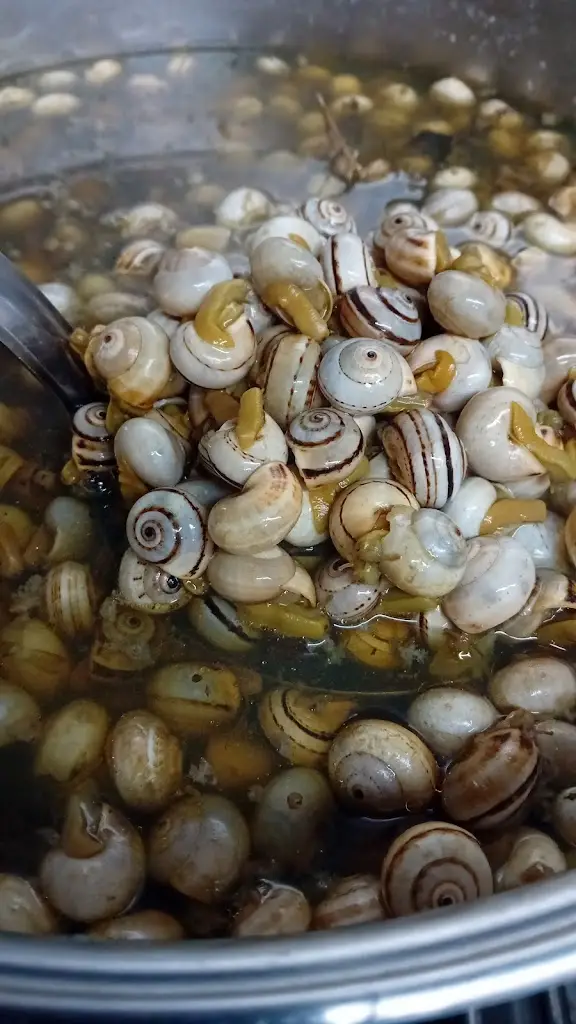 Menu_Taberna do Mário_Santa Iria da Azóia_immagine_2