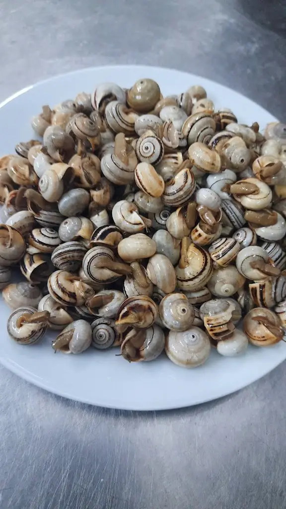 Taberna do Mário_Santa Iria da Azóia_slider_image_3