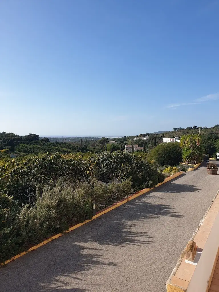 Jaci Harman_Cozinha do Marco_Santa Catarina_avis