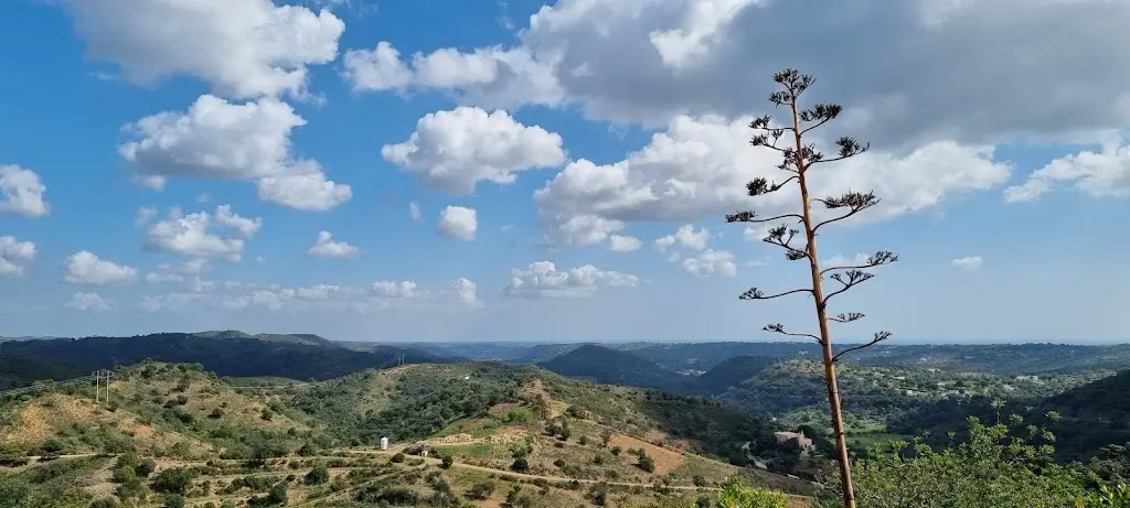 Jose Rogado_Cozinha do Marco_Santa Catarina_avis