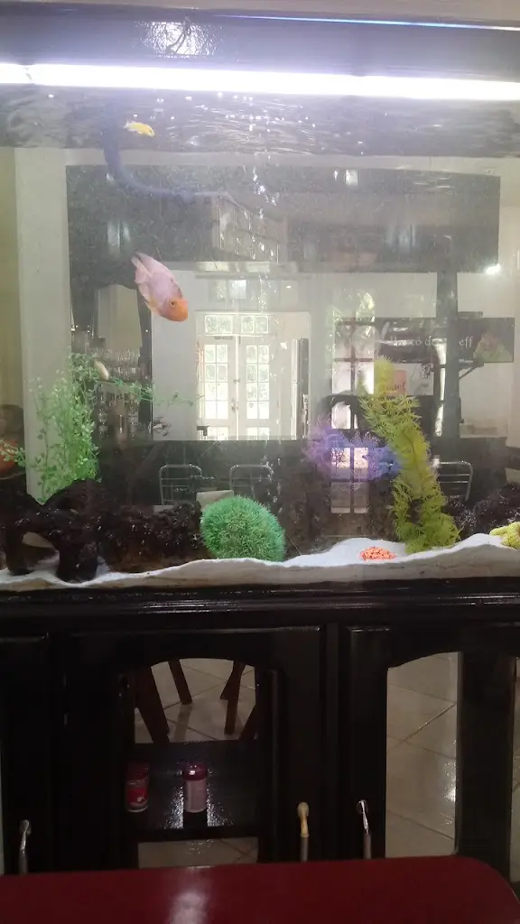 Pedro Branco_Recanto 51_Santo Antão do Tojal_review