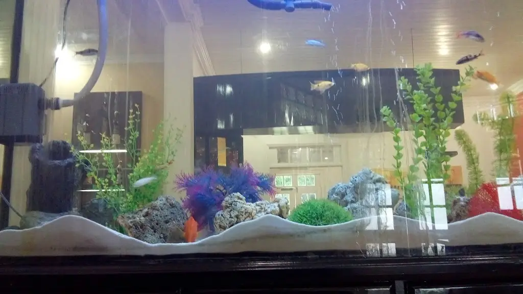 Recanto 51_Santo Antão do Tojal_slider_image_3