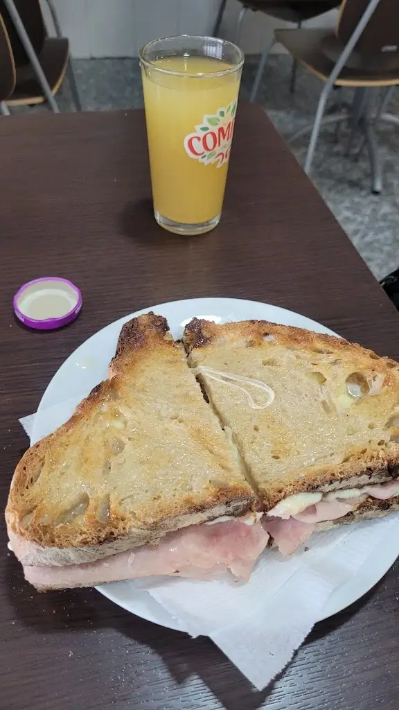 Gina Lopes_Flor do Tojal_Santo Antão do Tojal_recensione