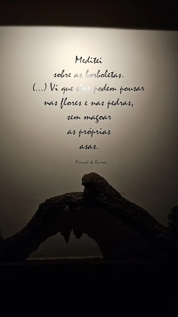 Joana Canavilhas_Restaurante O Padeiro_Santa Maria dos Olivais_recensione