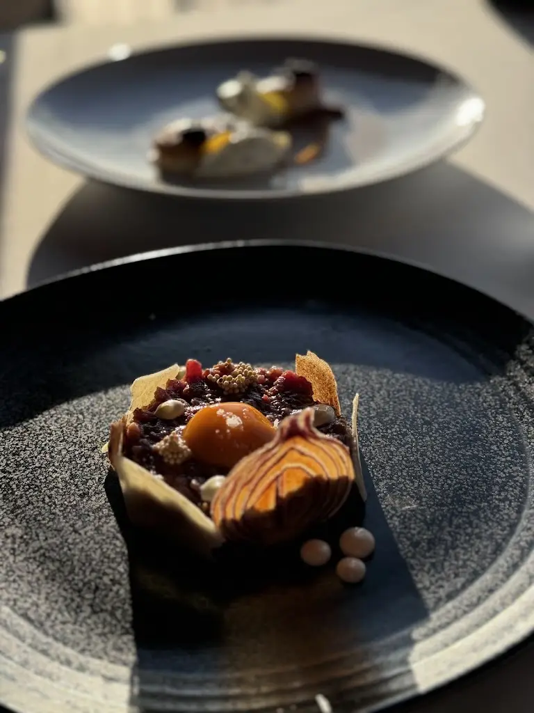 Elizaveta Bondarenko_Barão Fladgate_Santa Marinha_review