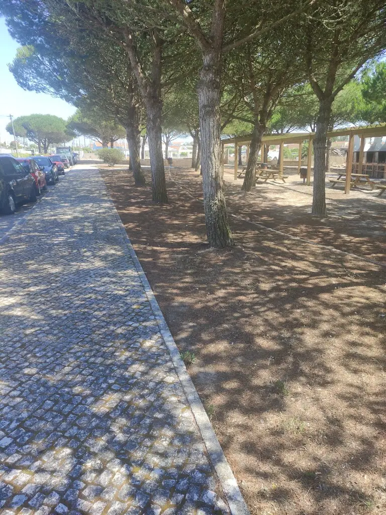 Francisca Lima_O Lapa_São João das Lampas_recensione