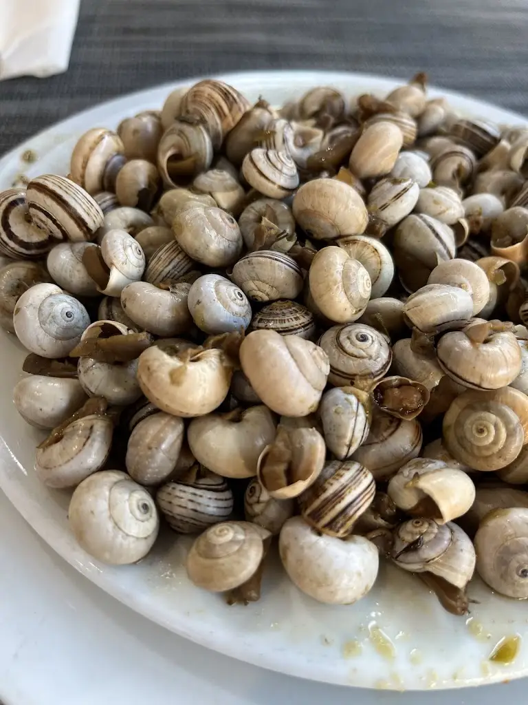 Menu_Sabor a Santos_Santos-o-Velho_immagine_7